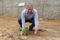 Plantio de mudas no Bosque dos 15 Anos