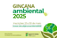 Gincana Ambiental 2025