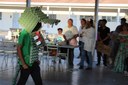 Crocodilo a partir de embalagens de ovos