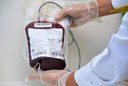 Projeto incentiva doação de sangue cujo estoque está baixo com o aumento de casos de coronavírus, segundo o Hemoal
