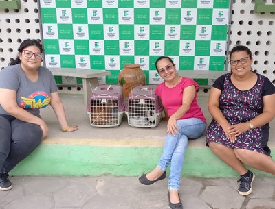 Equipe com animais após castrações realizadas em parceria com o Grupequi/Ufal