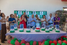 Foram 15 bolos contando a história por fotos