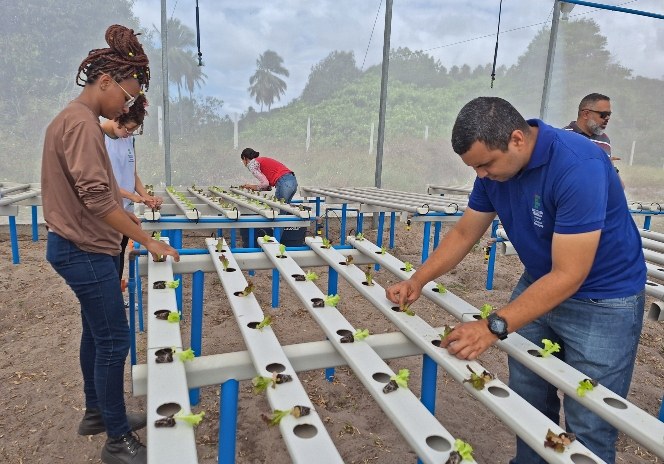 Estufa do curso de Horticultura e Agroecologia.jpg