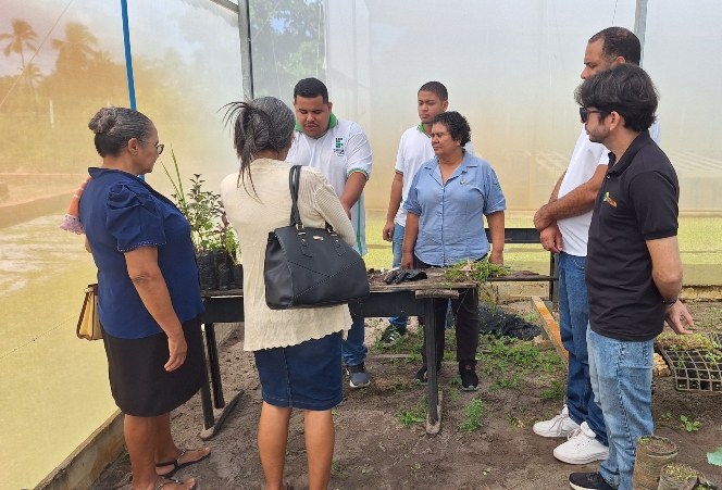 oficina de plantas medicinais na estufa.jpg