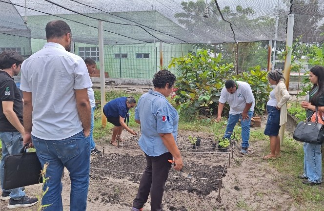 Ultima parte da oficina de plantas medicinais, na estufa.jpg