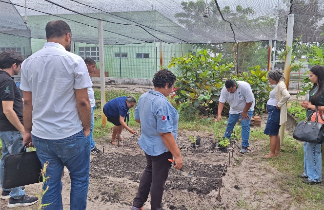 Ultima parte da oficina de plantas medicinais, na estufa.jpg