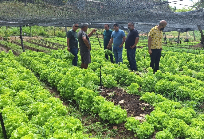 Projeto de Extensão agroecológico em Maragogi.jpg