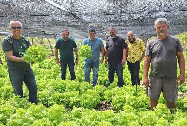 Projeto de Agricultura familiar gera renda em assentamento rural