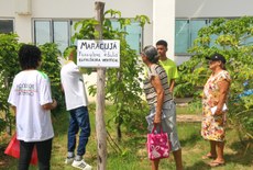 Plantação de frutas na área do Campus Maragogi