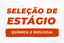 Seleção de estágio