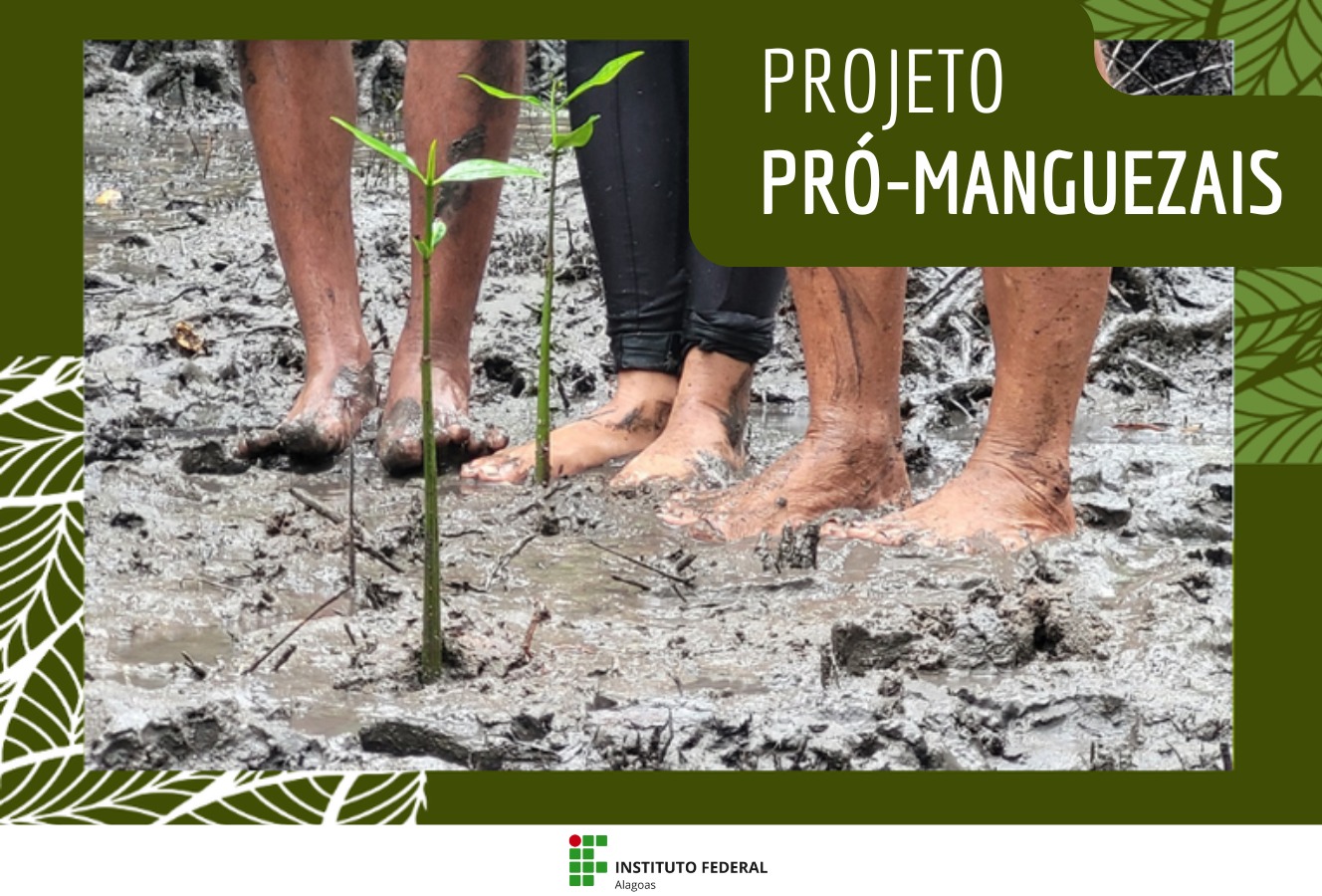 Campus Marechal participa de projeto agraciado com o prêmio nacional na área de meio ambiente