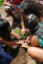 Crianças plantam mudas em Jequiá. Fotos: Victor Sgarbi