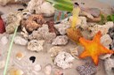 Réplica do fundo do mar contaminado por lixo foi destaque na feira