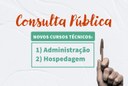 Consulta Pública