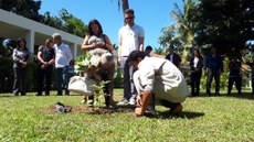 Muda de pau brasil foi plantada em memória ao professor
