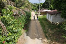 Imagem do assentamento rural, na Zona da Mata 