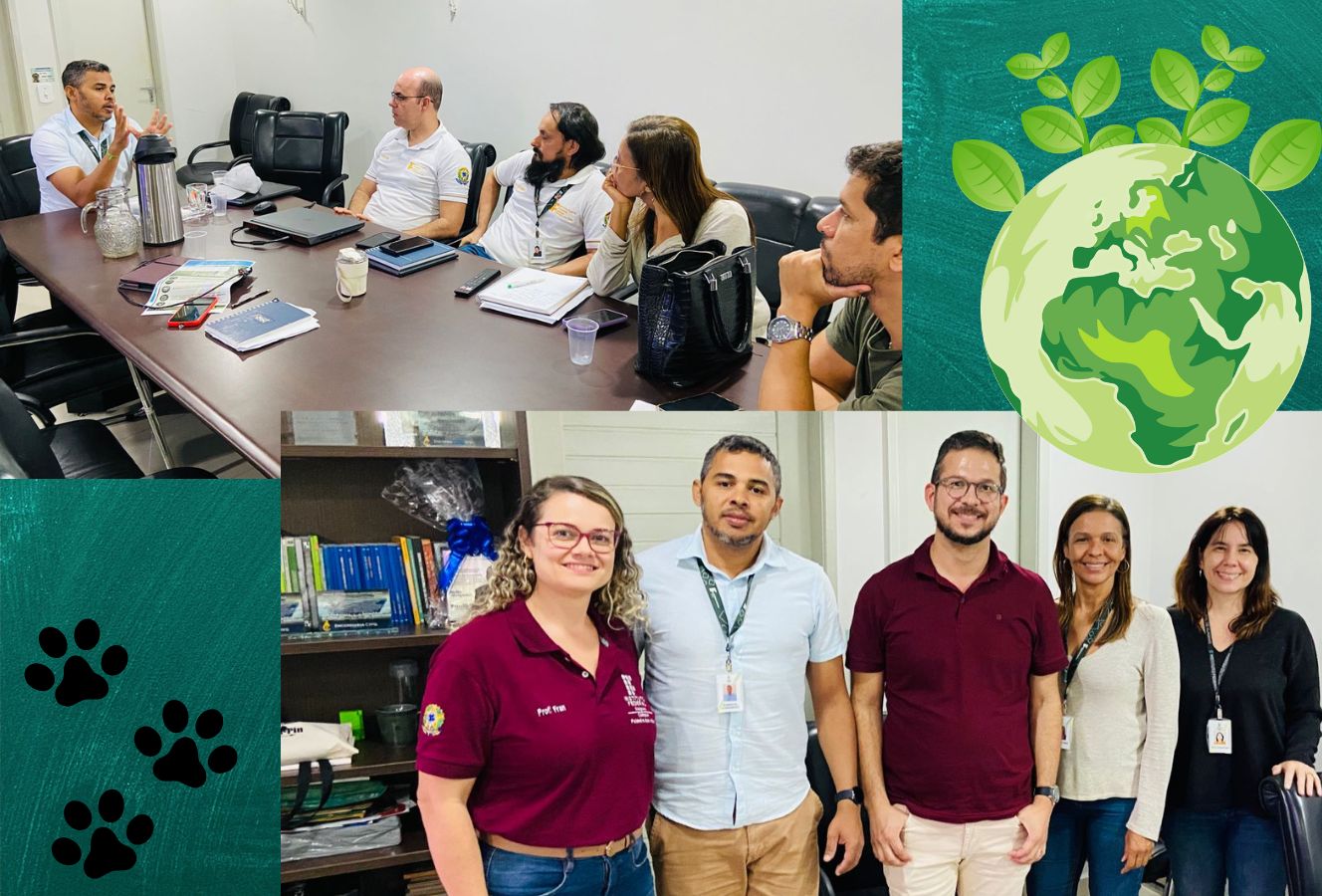 Reunião de planejamento