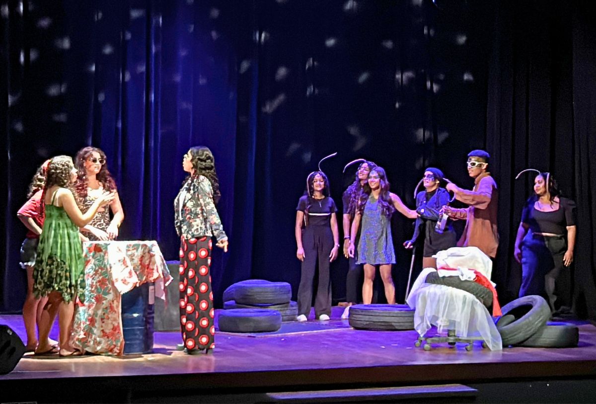 PEÇA TEATRAL INSETOS - IFAL PENEDO (2).jpg