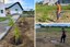 PROJETO BOSQUE - IFAL PENEDO