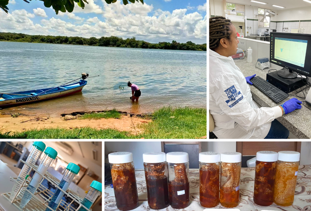 Ifal Penedo tem três patentes de invenção depositadas no INPI