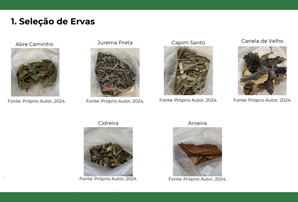 Pesquisa sobre fitoquímicos das ervas na Umbanda