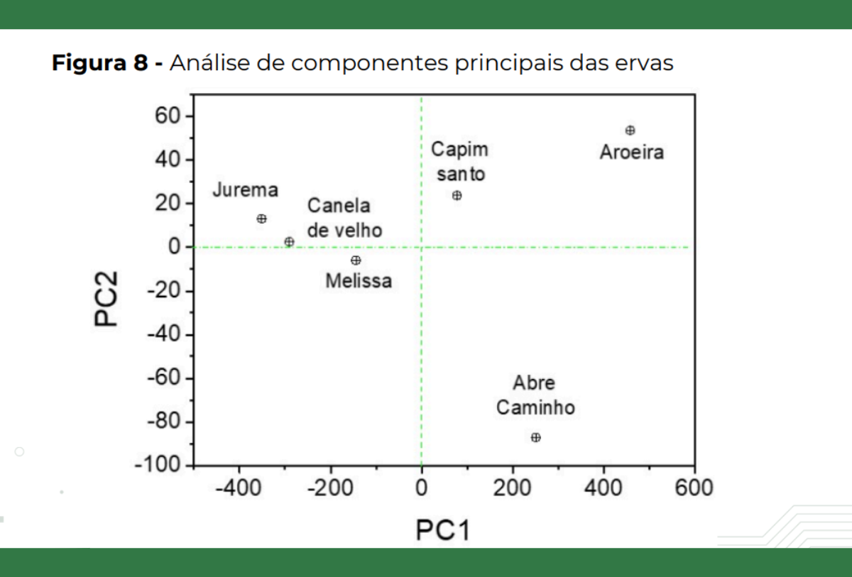 Pesquisa sobre fitoquímicos das ervas na Umbanda