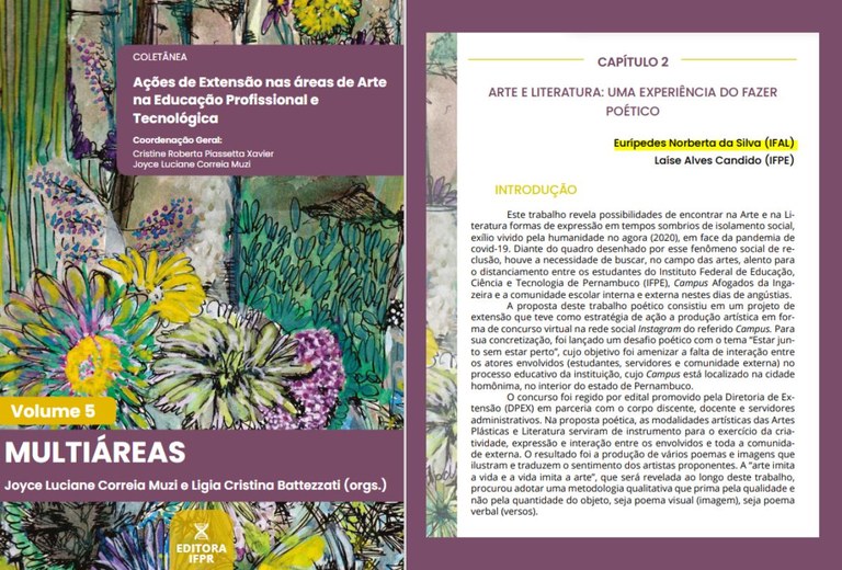 Livro publicado com capítulo de autoria da docente Eurípedes Norberta
