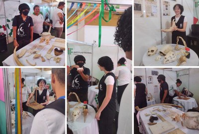 Sob a coordenação da professora Lilian Freitas, iniciativa auxilia na compreensão da importância do estudo de esqueletos de animais recentes para interpretar a morfologia e a ecologia das espécies extintas.