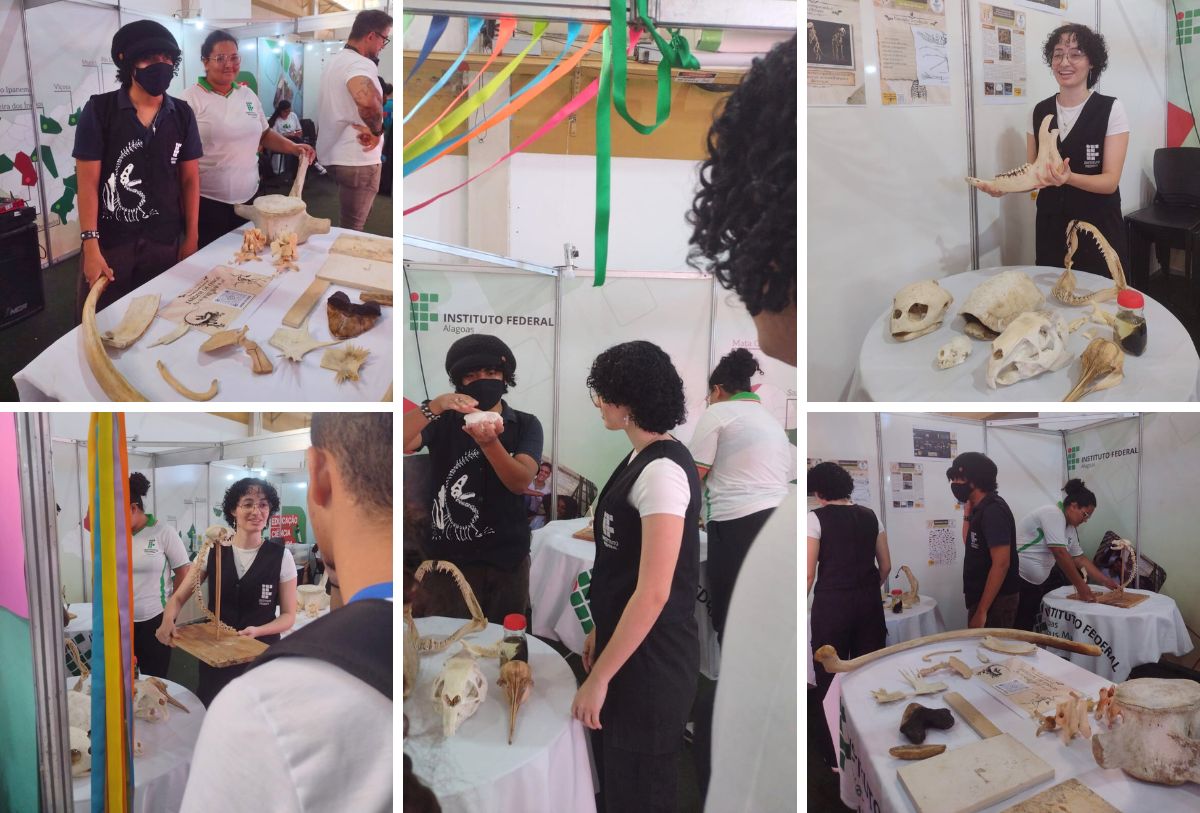 PROJETO JARDIM DE OSSOS NA BIENAL (2).jpg