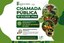 Campus Piranhas divulga Chamada Pública para aquisição de gêneros alimentícios pelo PNAE