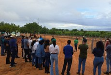 Estudantes do Campus Piranhas visitam produtores de hortaliças e frutas