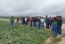 Estudantes do Campus Piranhas visitam produtores de hortaliças e frutas