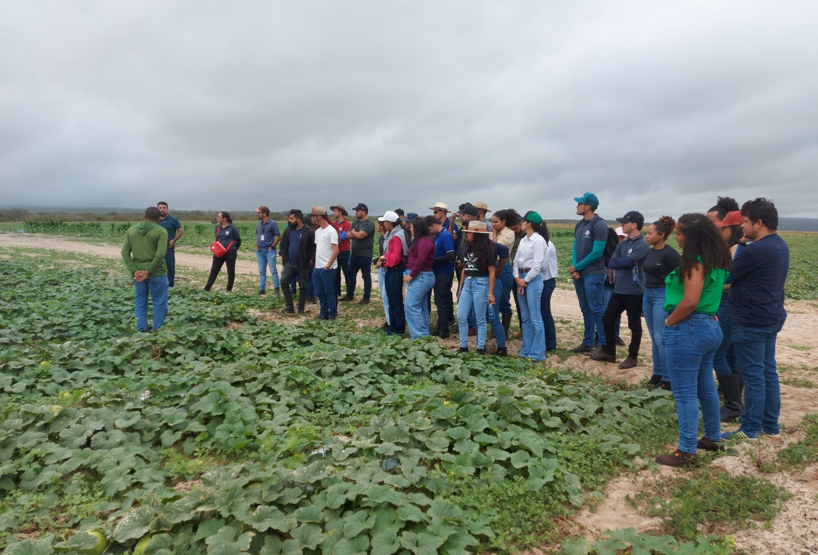 Estudantes do Campus Piranhas visitam produtores de hortaliças e frutas