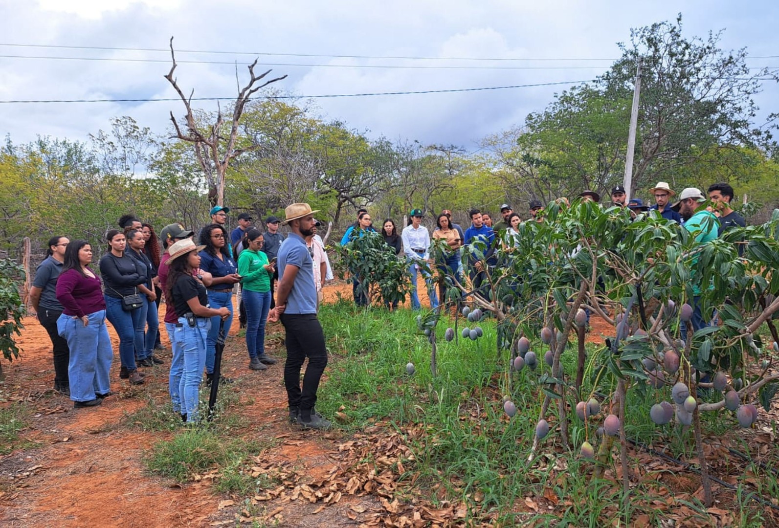 Estudantes do Campus Piranhas visitam produtores de hortaliças e frutas