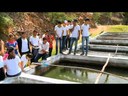 Alunos do Campus Santana visitam estação de criação de peixes em Piranhas