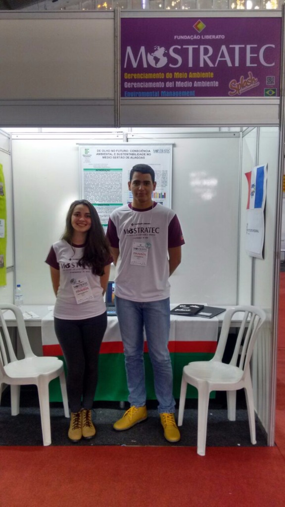 Imagem 3