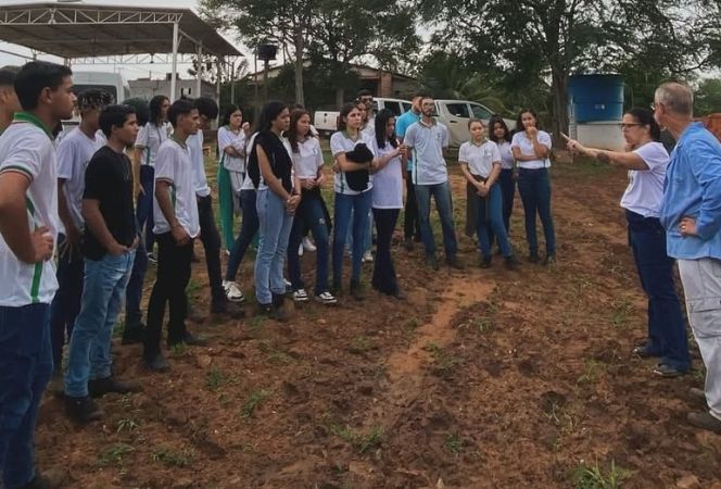 FEIJAO_ARROZ (2).jpg