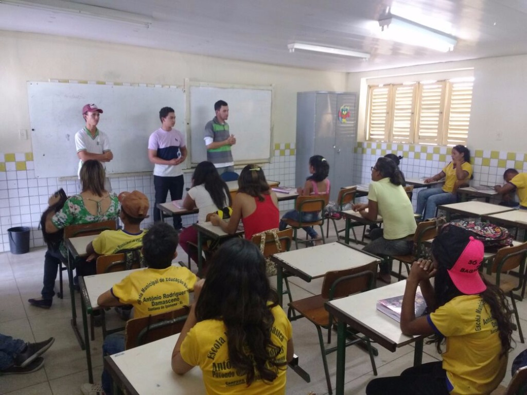 Imagem 6