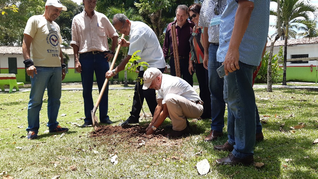 Os egressos plantaram uma muda de pau-brasil e uma lanterneira