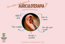 Auriculoterapia