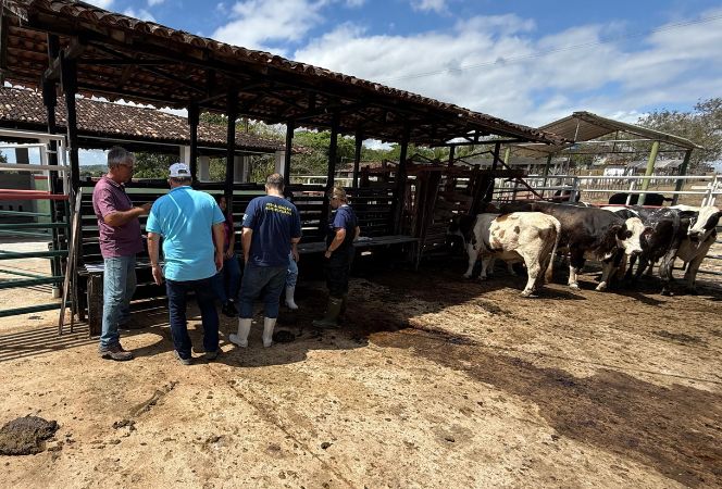 Atividade prática com alunos do curso de Agropecuária