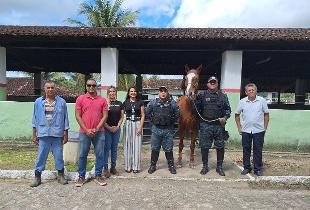 Ifal Satuba recebe doação de cavalo da Polícia Militar de Alagoas