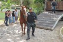 Soldado Rinaldo conduz animal até Laboratório de Bovinocultura e Equideocultura do Campus