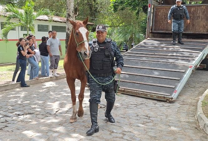 Soldado Rinaldo conduz animal até Laboratório de Bovinocultura e Equideocultura do Campus