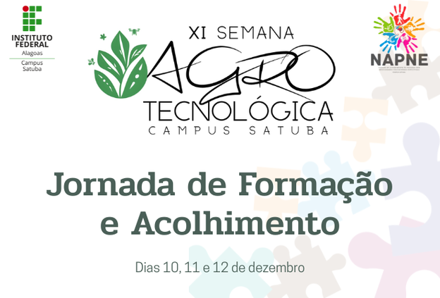 Napne Satuba promove oficina e formação para fortalecer práticas inclusivas