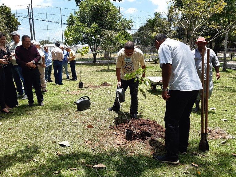 Os egressos plantaram uma muda de pau-brasil e uma lanterneira