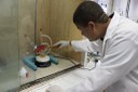 Cristian Bernardo sintetiza substância que será utilizada em manejo integrado de pragas 