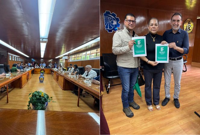 missao_conif_mexico (1).jpg