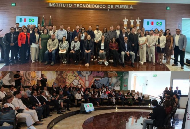 missao_conif_mexico (2).jpg