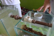 6ª Feira de Ciências Ambientais, realizada no ano passado